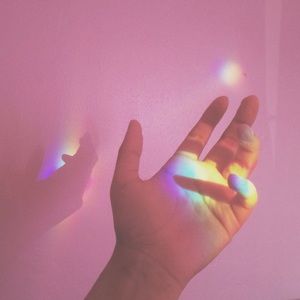 Meet your Posher, Abigail